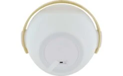 LED Lampe Mit Bluetooth Speaker Und Holz Handgriff -Camping Gear Günstiges Camping Geschäft 516431 3372329