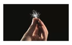 Outwell Oak Lux Schlafsack 220 X 84 Cm Grau 13 Outwell Oak Lux Schlafsack 220 X 84 Cm Grau -Camping Gear Günstiges Camping Geschäft 542356 3532418