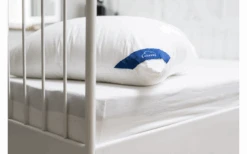 Eazzzy Kopfkissen 40 X 80 Cm -Camping Gear Günstiges Camping Geschäft 586803 4004571