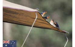 Gordigear Dachzelt 140 Plus Für 2 Personen Mit Vorzelt 140 X 320 Cm Grün 13 Gordigear Dachzelt 140 Plus Für 2 Personen Mit Vorzelt 140 X 320 Cm Grün -Camping Gear Günstiges Camping Geschäft 737393 4968680