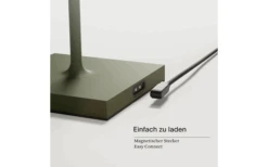 Sigor Akku-Tischleuchte Nuindie 380 Mm Salbeigrün -Camping Gear Günstiges Camping Geschäft 810359 5289299 1